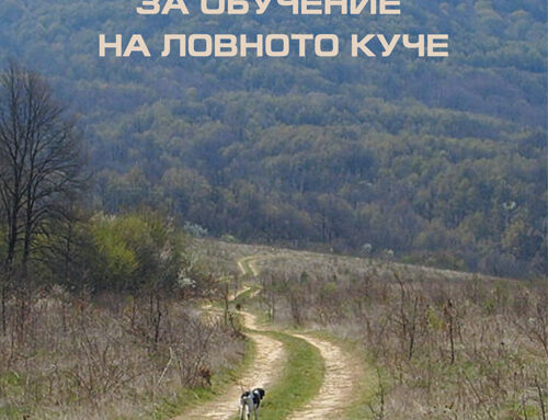 Пътеводител за обучение на ловното куче